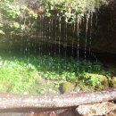 방글농장 이미지