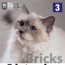 헬로치즈어학원 이미지