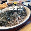소바랑 | 용인 자가제면 소바 맛집 소바랑, 내돈내산 후기!