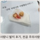 학교앞작은의원 | 사랑니 발치 후기, 상악동 천공까지 생긴 솔직 후기 (주의사항 총정리)