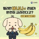 필리핀 바나나 관세 폐지 이미지