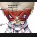 한양한의원 이미지