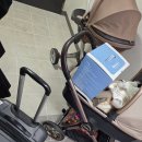 수영장 독채 폭포리아 풀빌라 | 아기랑 같이 포항 여행 풀빌라 오션뷰 가족 독채 펜션 온수풀 이용 가격 스타스케이프