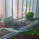 호암힐스테이트공인중개사사무소 이미지