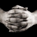 다섯손가락 이미지