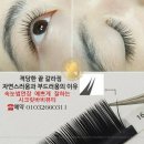 시크릿바비 이미지