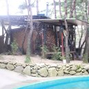 임자식당 이미지