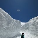 5월에 눈길을 걷다 (4월~6월에만 볼 수 있는 20미터 높이의 눈길 알펜루트를~) 이미지