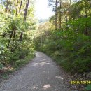 다리목민박 이미지