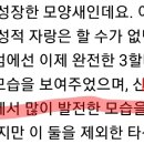 킹사 이미지