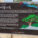 경정3리 마을입구 이미지