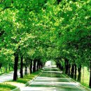 이렇게 좋은날 이미지