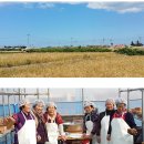 변산반도영농조합법인 이미지