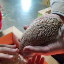 앵무새동물원 이미지