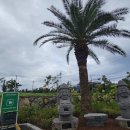 신례주유소 이미지