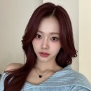 레드브라운 - 안양시 동안구 평촌대로 217 | 레드브라운
