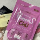 도그앤츄 이미지