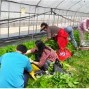 창조농장 이미지