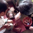 희망의 꽃 이미지