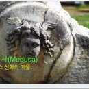 오분도둑 이미지