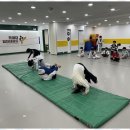 힘찬 태권도 이미지