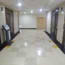 성지스타위드 이미지