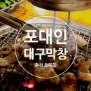 대구(본)막창 | 춘천 퇴계동 막창 맛집 포대인 대구막창 방문 후기