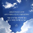 고래등공인중개사사무소 이미지