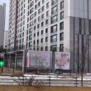 용인대서재태권도장 이미지