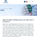 로킷헬스케어 탈모 시장 분석 – 인도 사례로 본 피부재생 플랫폼의 연결