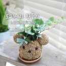 해남노인종합복지관 이미지