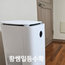 몰운대초등학교 이미지