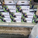 신북IC주유소
