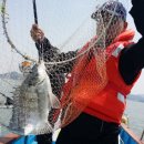 해성좌대 이미지