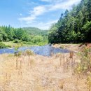 부등 농장 이미지