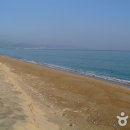 영덕군 관광안내소 이미지