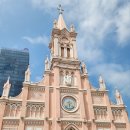 성당시장 | [다낭] 이틀차 핑크성당, 한시장, 센트럴마켓 쇼핑후기 :)