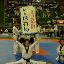 강철태권도체육관 이미지