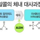 더 케이짐 이미지