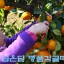 김수정농장 이미지