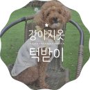 오현농장 이미지