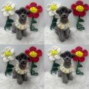 두유네 애견미용실 이미지