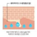 안티에이징의원 네이버블로그