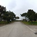 동해송정동철기시대유적 네이버블로그