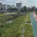 한약국더채움 이미지