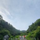 올스테이인 이미지