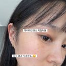 헤이지니 이미지