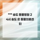 24시 송도 온 동물의료센터 | 최첨단 장비로 진료를 하고 있는 송도 동물병원 24시 송도 온 동물의료센터