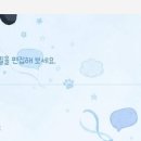 퍼피톡 네이버블로그