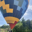 산림놀이 이미지